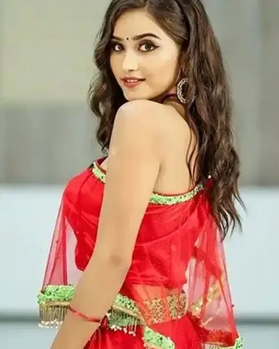 Call Girls Service Harsud